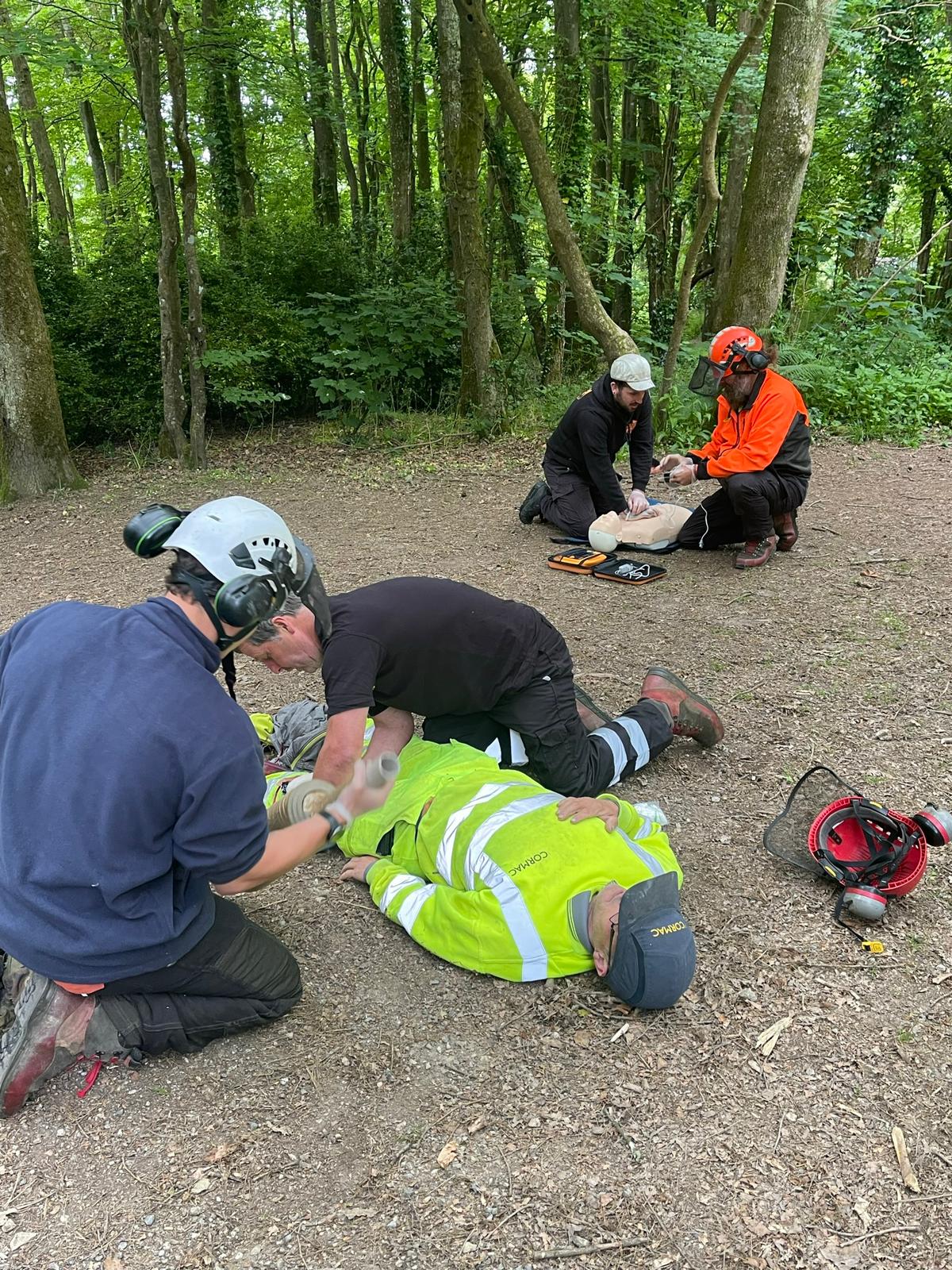 Forestry First Aid (+ F) Training in Plymouth, Devon, and Cornwall